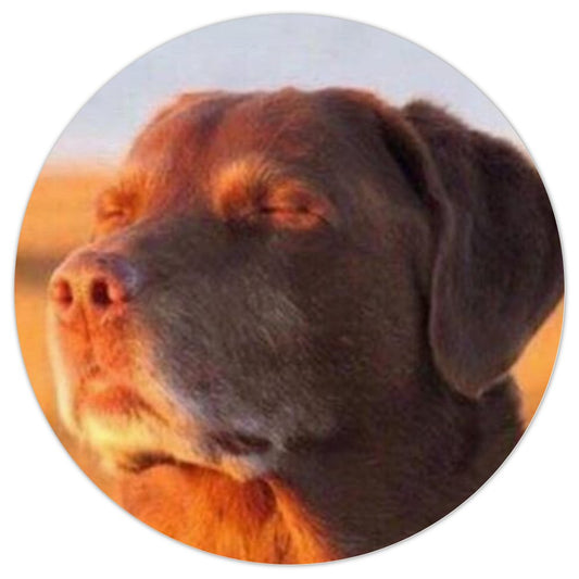 Cooked Dog (meme sticker)